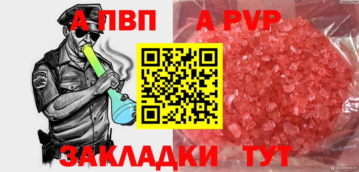 APVP СК Вологда